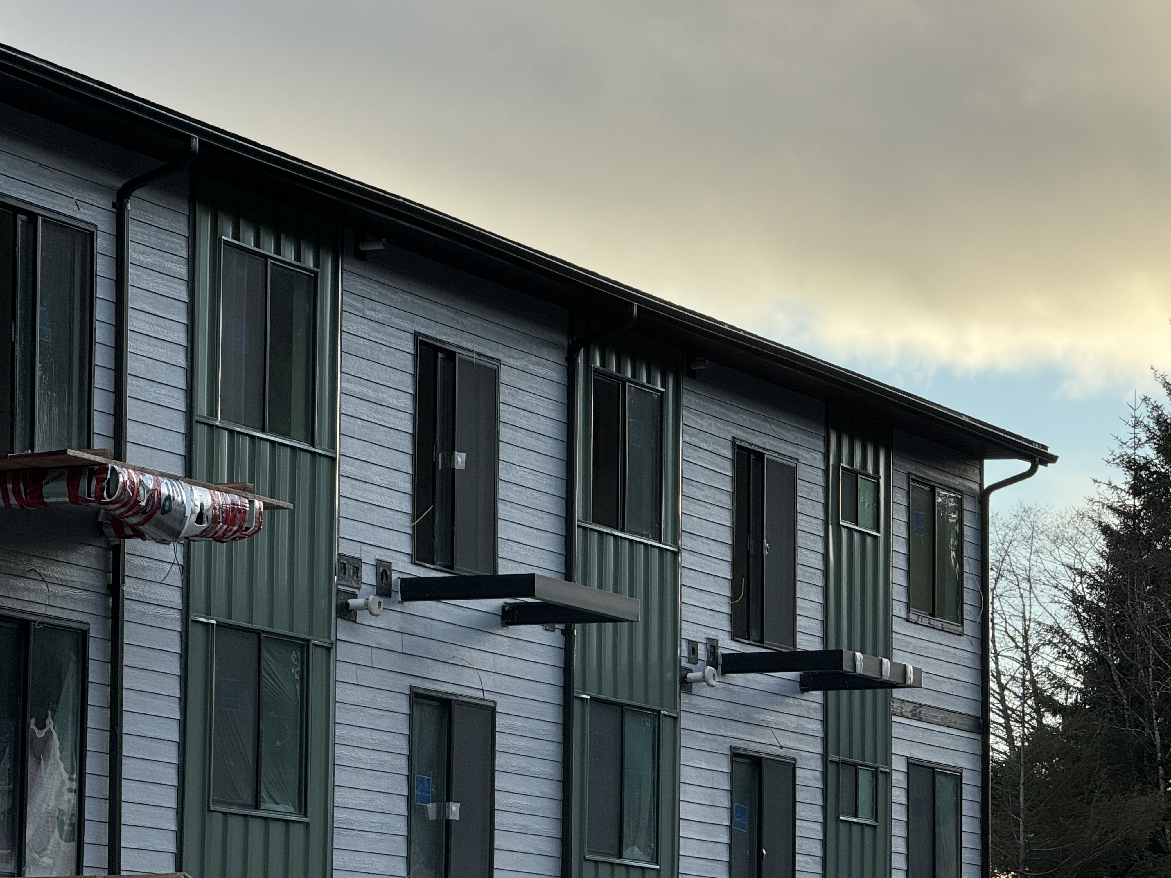 Professional painting work